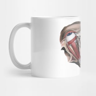 Vintage Human Anatomy Eyeballs Mug